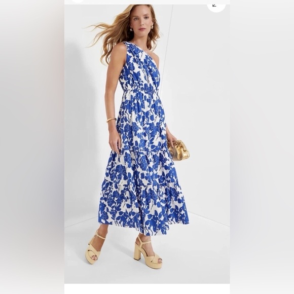 Hyacinth House Sybil Maxi Dress XXS Blue Floral One Shoulder Cotton Lined NWT - Picture 2 of 16